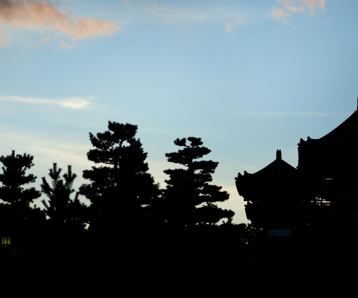 夫婦の今とこれからを霊視で詠み解きます 再構築？離婚？後悔しない未来を一緒に見つけます イメージ7