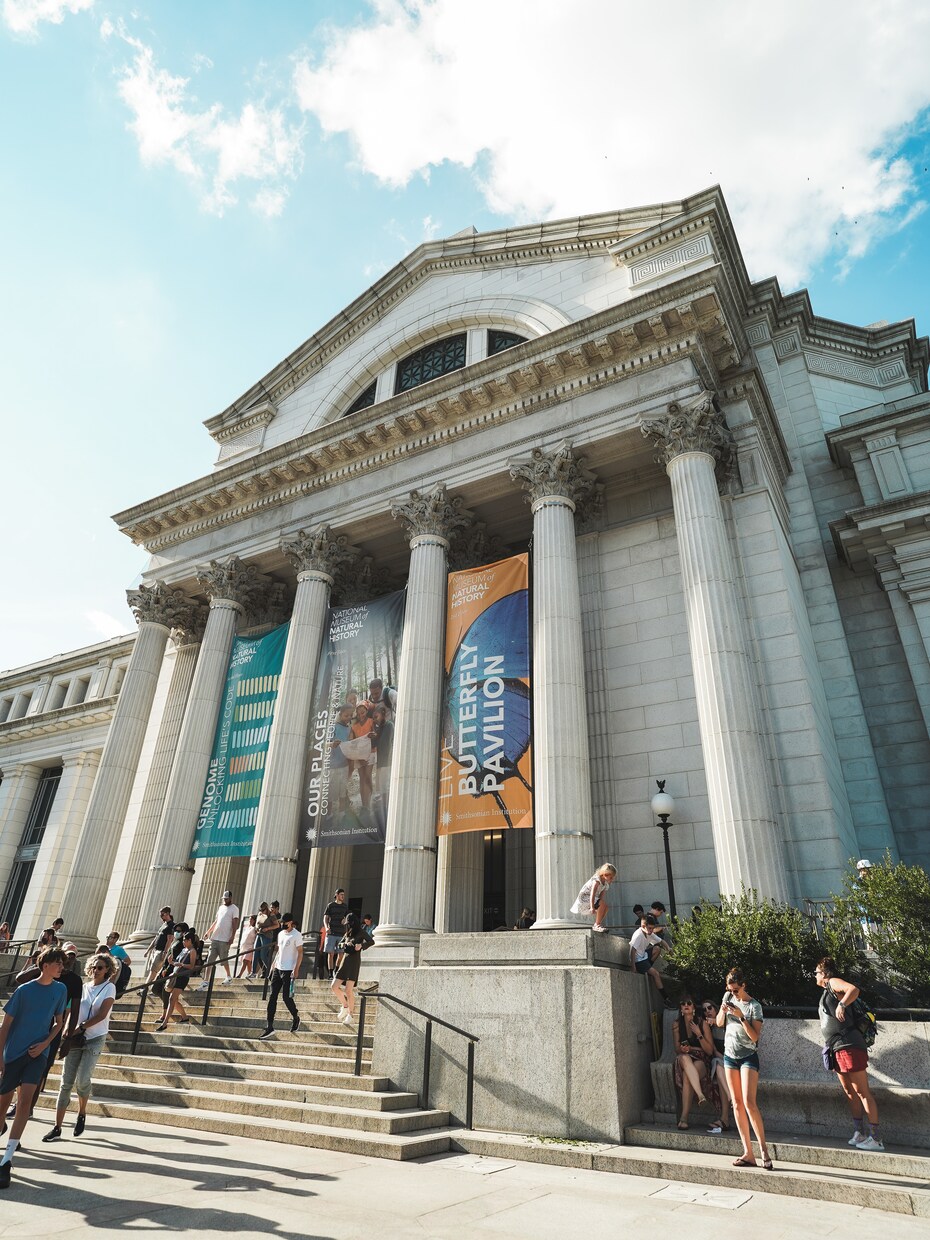 個人旅行【ワシントンD.C.】のご相談お伺いします 毎年夏はワシントンD.C.近郊で生活中です! イメージ3