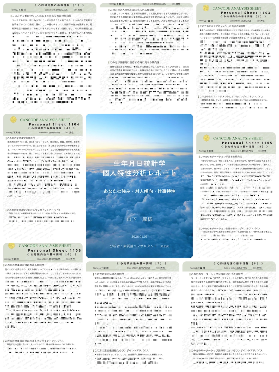 生年月日で強みと職場の人間関係傾向を分析します PDF鑑定｜職場の人間関係の悩みを性格分析で解決 イメージ5
