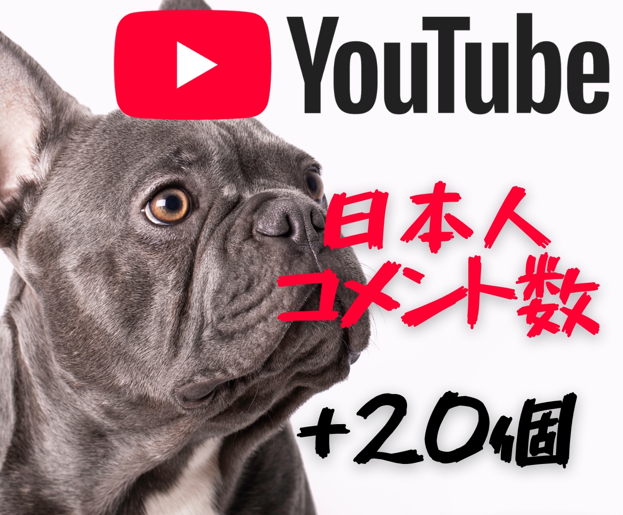 Youtube✨魅力的な日本人コメント付与します コメント20件✨動画に“勢い”と“信頼感”をプラス イメージ1