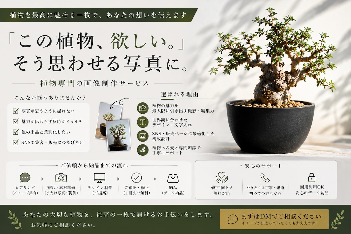 塊根植物・アガベなど植物を制作します 欲しくなる”世界観”にととのえます イメージ2