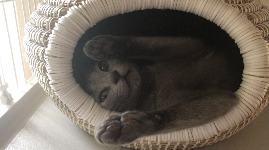 誰かとちょっと話したい、心のもやもやをお聞きします 疲れた、しんどい・・・。なんとなく話を聞いてほしい。 イメージ2