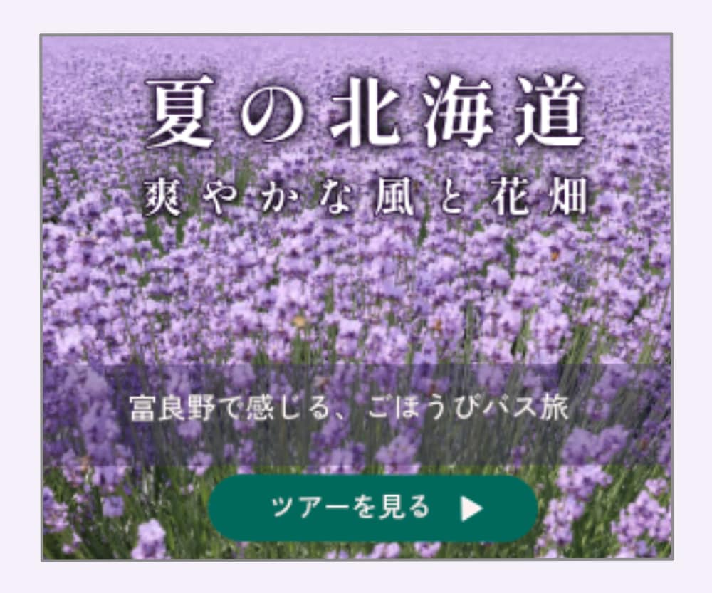 サービスをより魅力的に見せるバナー制作いたします 上品かわいい/高可読性、要点はくっきり。 イメージ4