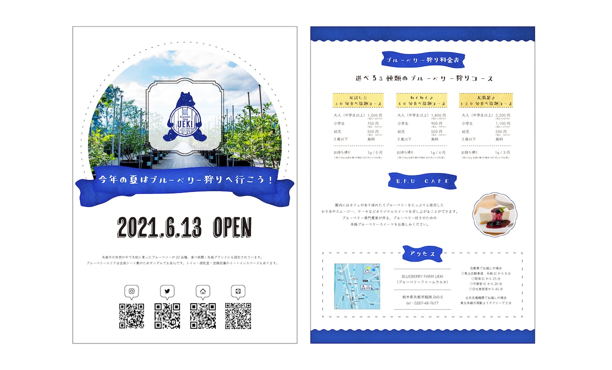 プロが効果の出るフライヤーを美しくデザインします 思わず手に取る美しいバランスとレイアウトをデザイン。 イメージ9