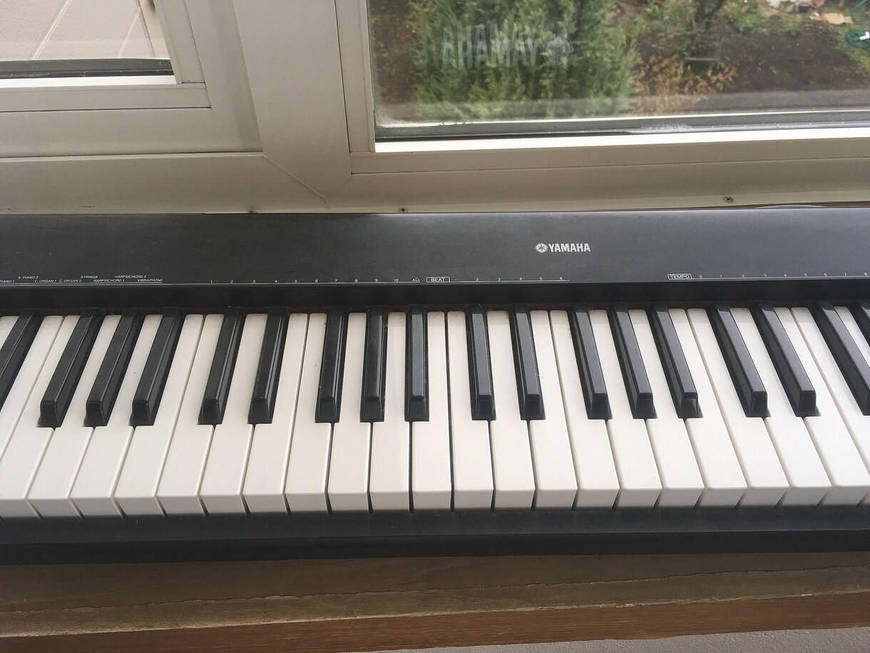 作曲が簡単に出来るようになります 作曲が簡単に出来るようになったり、音感をつけていくレッスン イメージ1