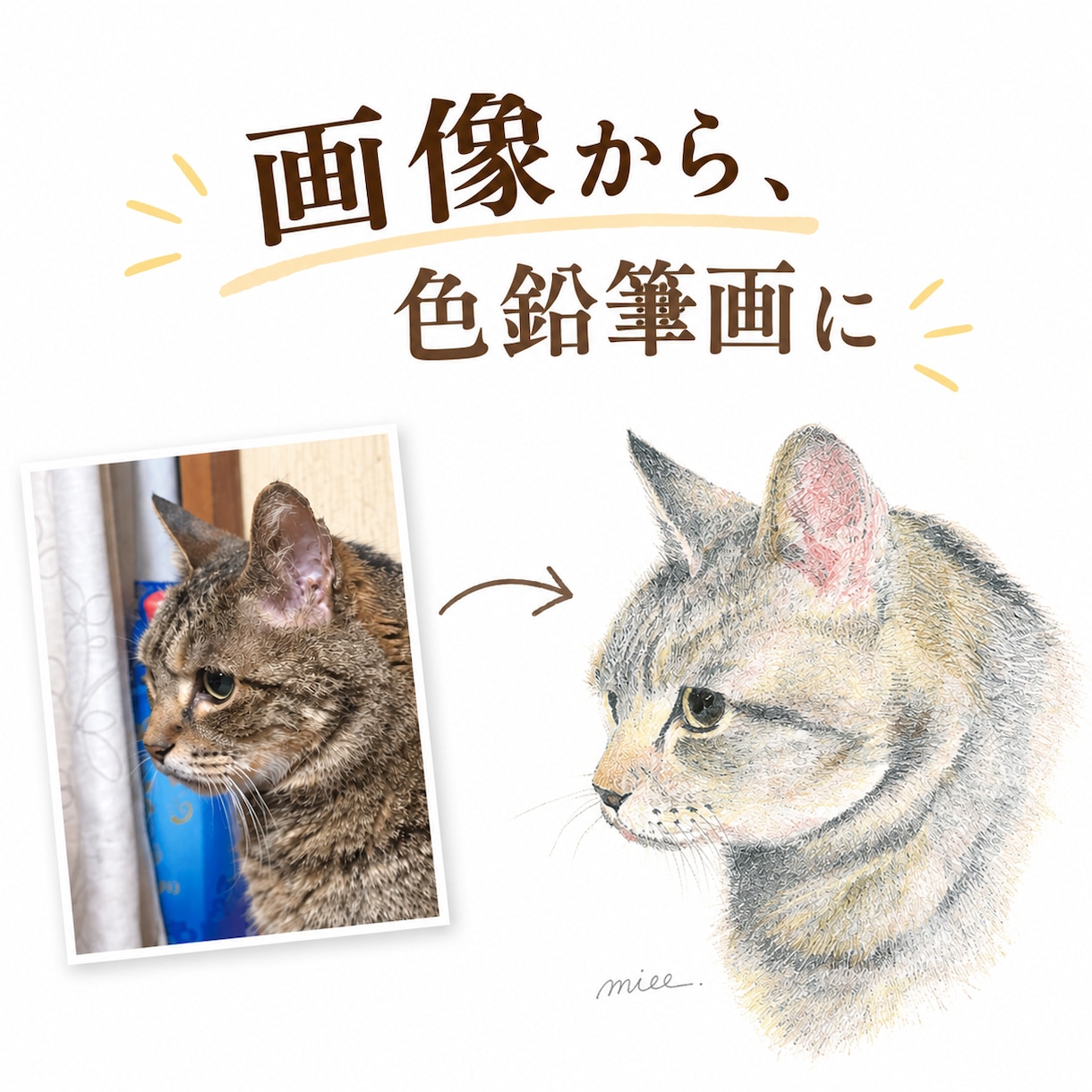 原画郵送：写真からペット肖像画を色鉛筆で描きます 大切な「うちの子」を、世界に一枚だけの手描き作品に イメージ2