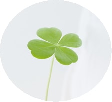 悩みや自慢話☆聞かせてください☆聞きます 話してみてください。プラスもあると思います☆ イメージ2