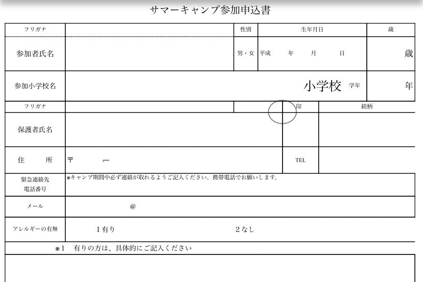 パワポ作成、レビュー投稿、簡単なワード作成やります 現役女子大生が見やすい資料作りをお手伝い！ イメージ4
