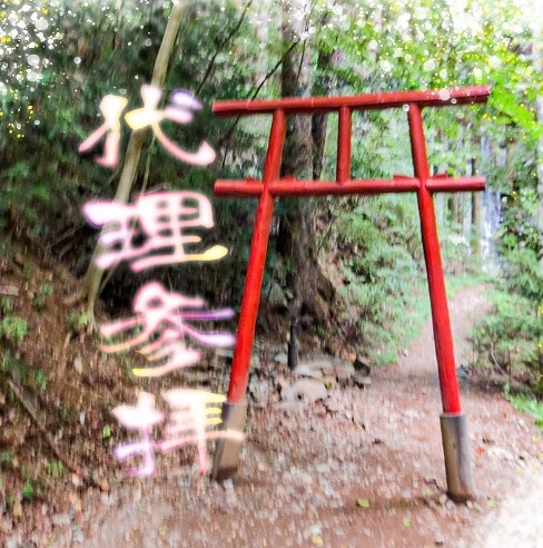 期間限定募集：6/10 23時〆・代理参拝をします 目的地→九頭龍神社&箱根神社※サービス内容必読。 イメージ1