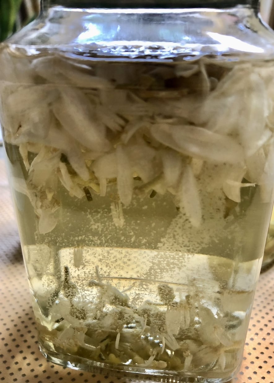 あなたを丸ごと優しく包み込むような存在があります オレンジの花から採れるネロリの香りで癒します(✿✿） イメージ2