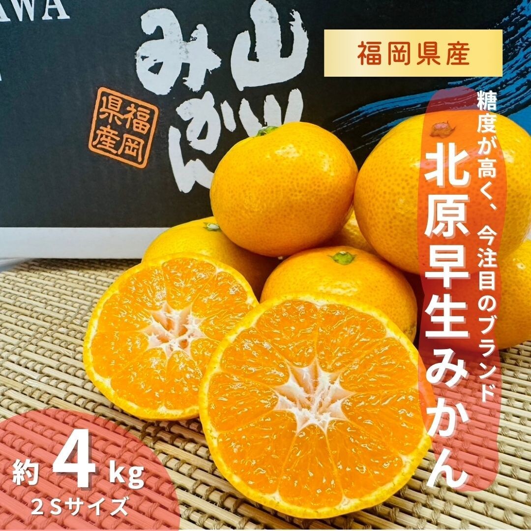 お店やネット販売用の簡単なバナー・POP作成します 大雑把なご依頼でもOK！お気軽にご相談ください。 イメージ5