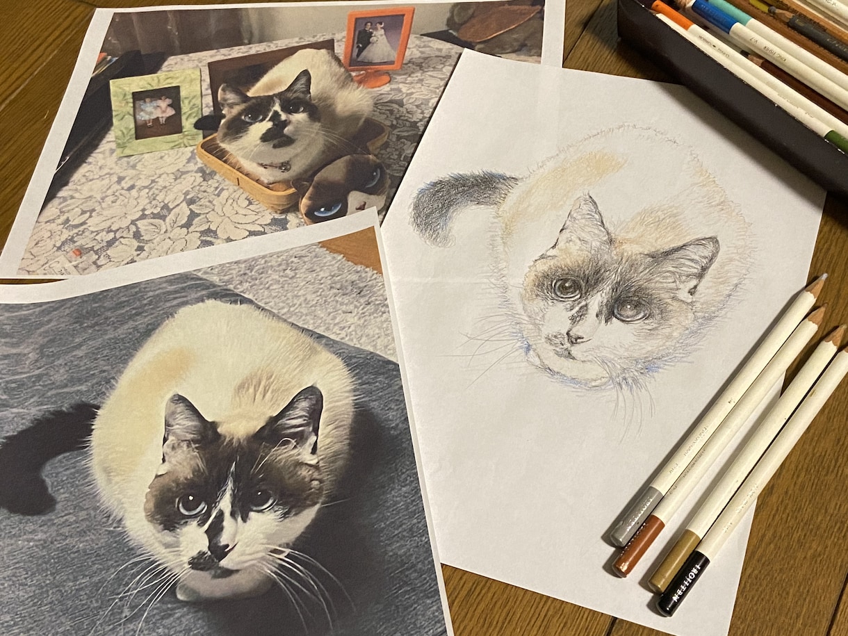 愛犬・愛猫を色鉛筆またはデジタルでリアルに描きます ペットとの思い出をあったかい似顔絵でお手元に イメージ4