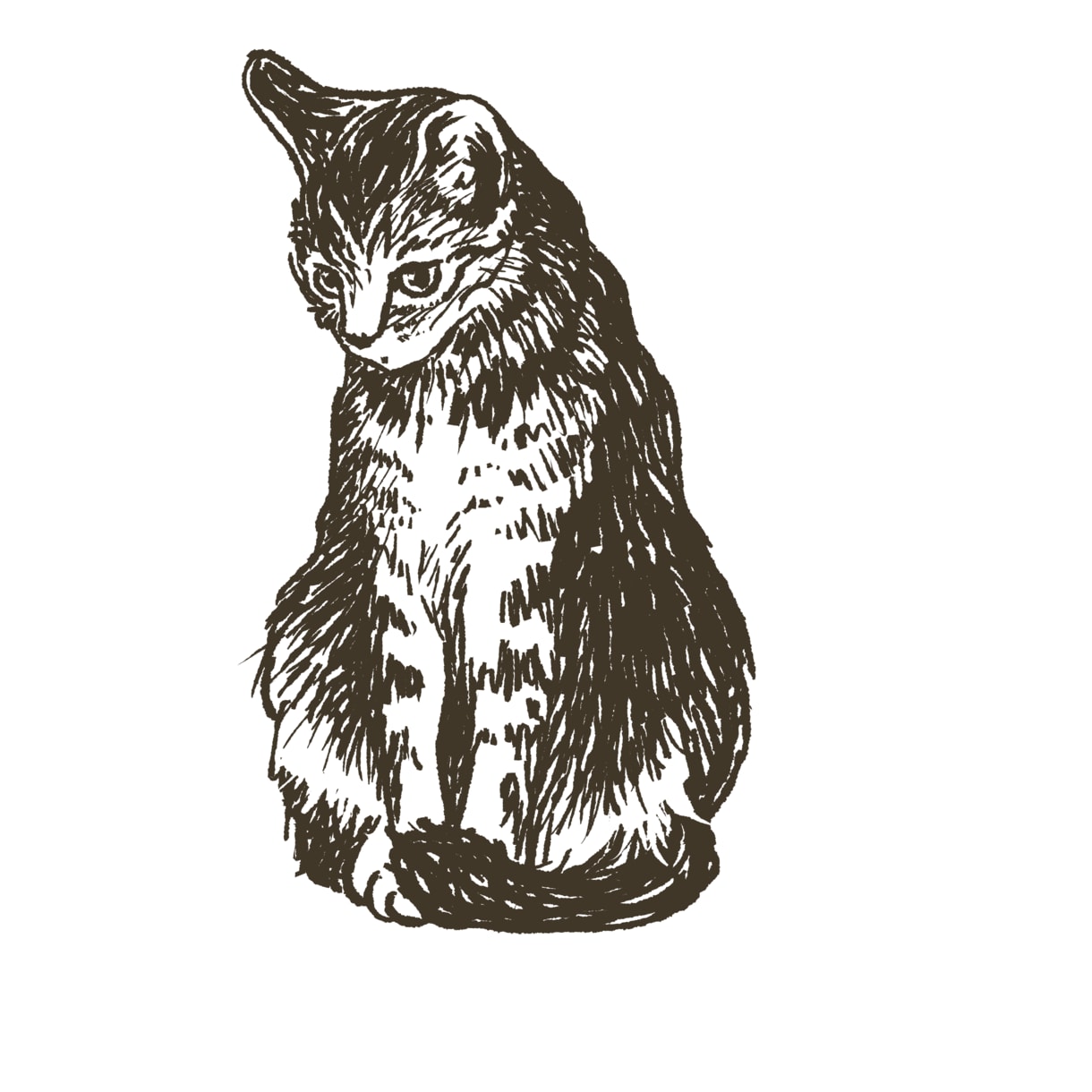 ペットのデジタルイラストを作成します 画像データでお届け  オリジナルグッズなどにご利用ください！ イメージ3