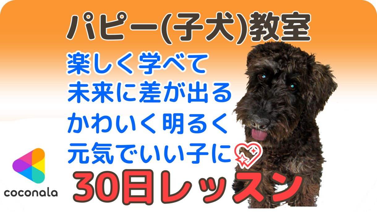 パピー教室【30日】★楽しく学べて未来に差が出ます 大事なパピー時期に必要なこと・知識をお伝えします イメージ1