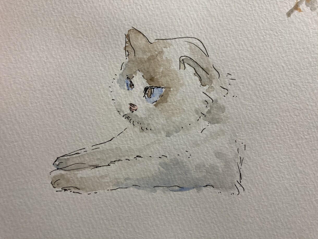 大切な動物さん達を描かせていただきます 水彩で優しい雰囲気のイラストを描かせていただきます。 イメージ6