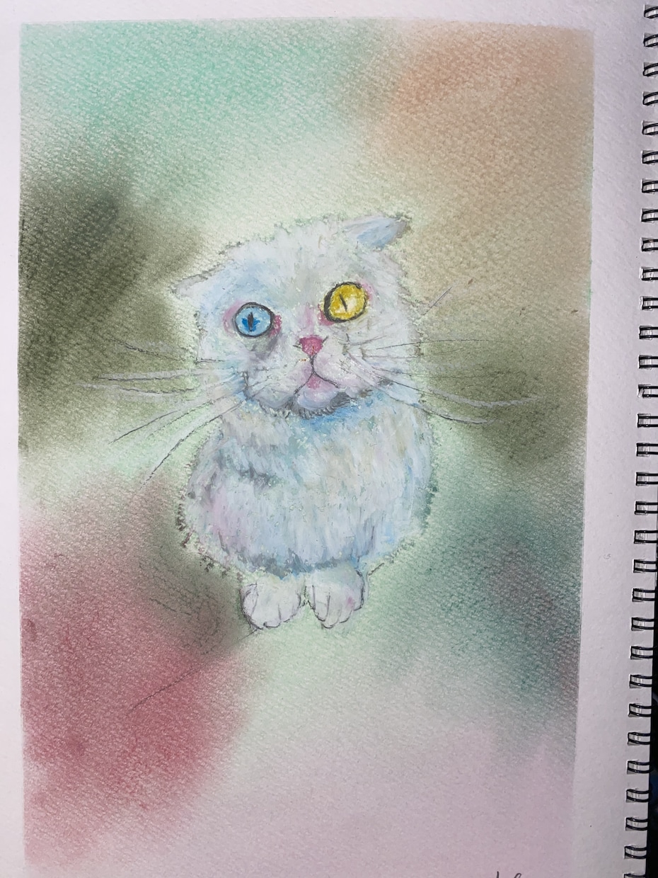 むかし懐かしのクレヨンで最愛の子を描きます オイルパステル（クレヨン）でしか出せない雰囲気のアート イメージ2