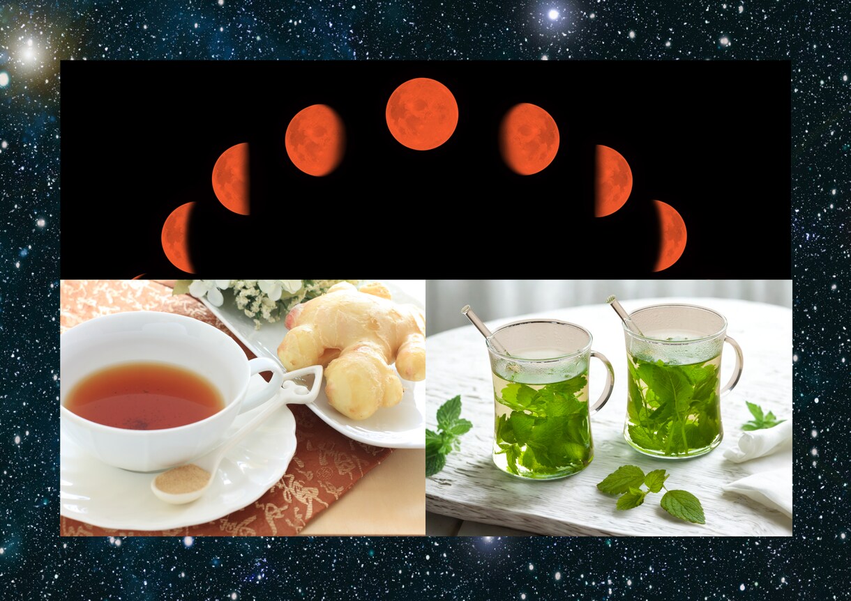星からのメッセージを、ハーブの力で現実に活かします ⭐︎『宇宙とつながる星座別ハーブの魔法』を読まれた方へ⭐︎ イメージ8
