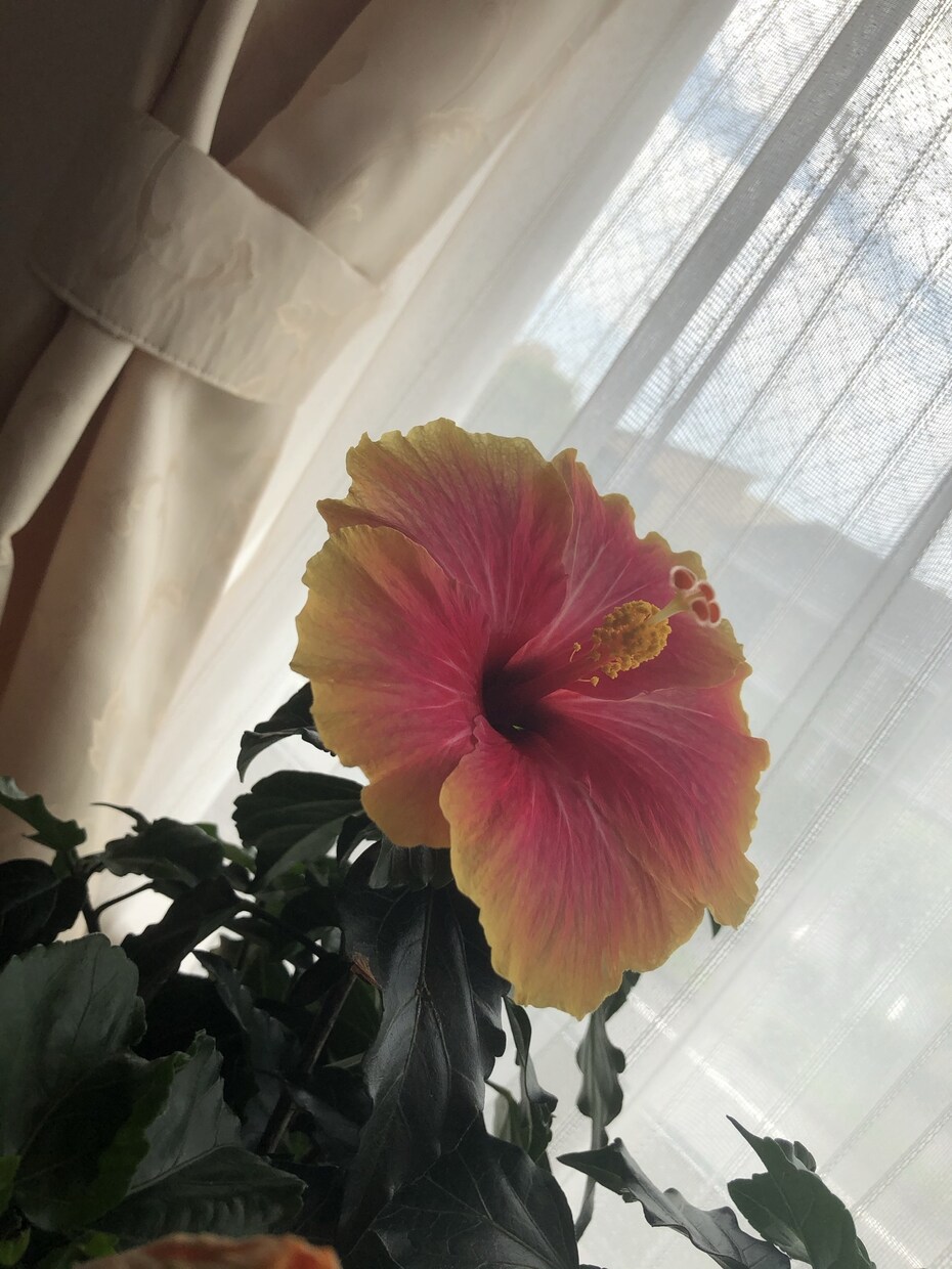 私は、あなたの味方です！なんでも相談に乗ります 私と一緒にその悩み解決に近づけてみませんか？ イメージ2