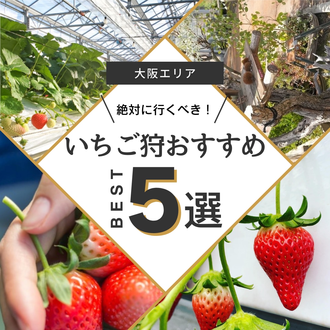 実績1000件以上！SNSの運用、運営代行します Instagram,Twitter,TikTok等運用です イメージ4