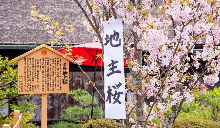 恋愛オラクルカードリーディングで女神の助言をします チャネリング霊感ヒーラーが、あなたに必要なアドバイスをお伝え イメージ3