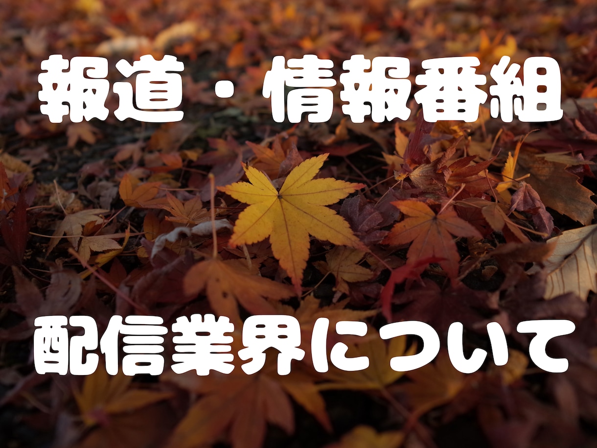 TV局や配信業界の就職・転職のお悩み相談に乗ります 報道・情報番組や配信番組ディレクターが知っていること話します イメージ1