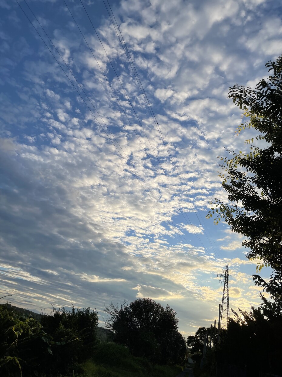 写真素材を提供します プロが撮影した綺麗な風景写真セット イメージ7