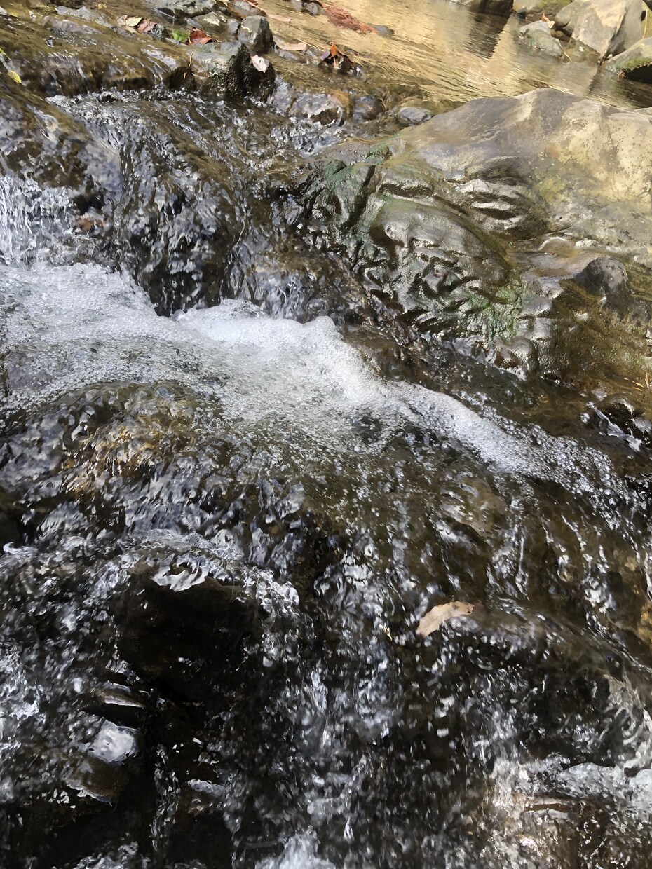 浮気⚡️疑惑⚡️第六感、直感力で導きます モヤモヤ…聞かせて下さい☘️心を晴らしていきましょ♠️☺️ イメージ5