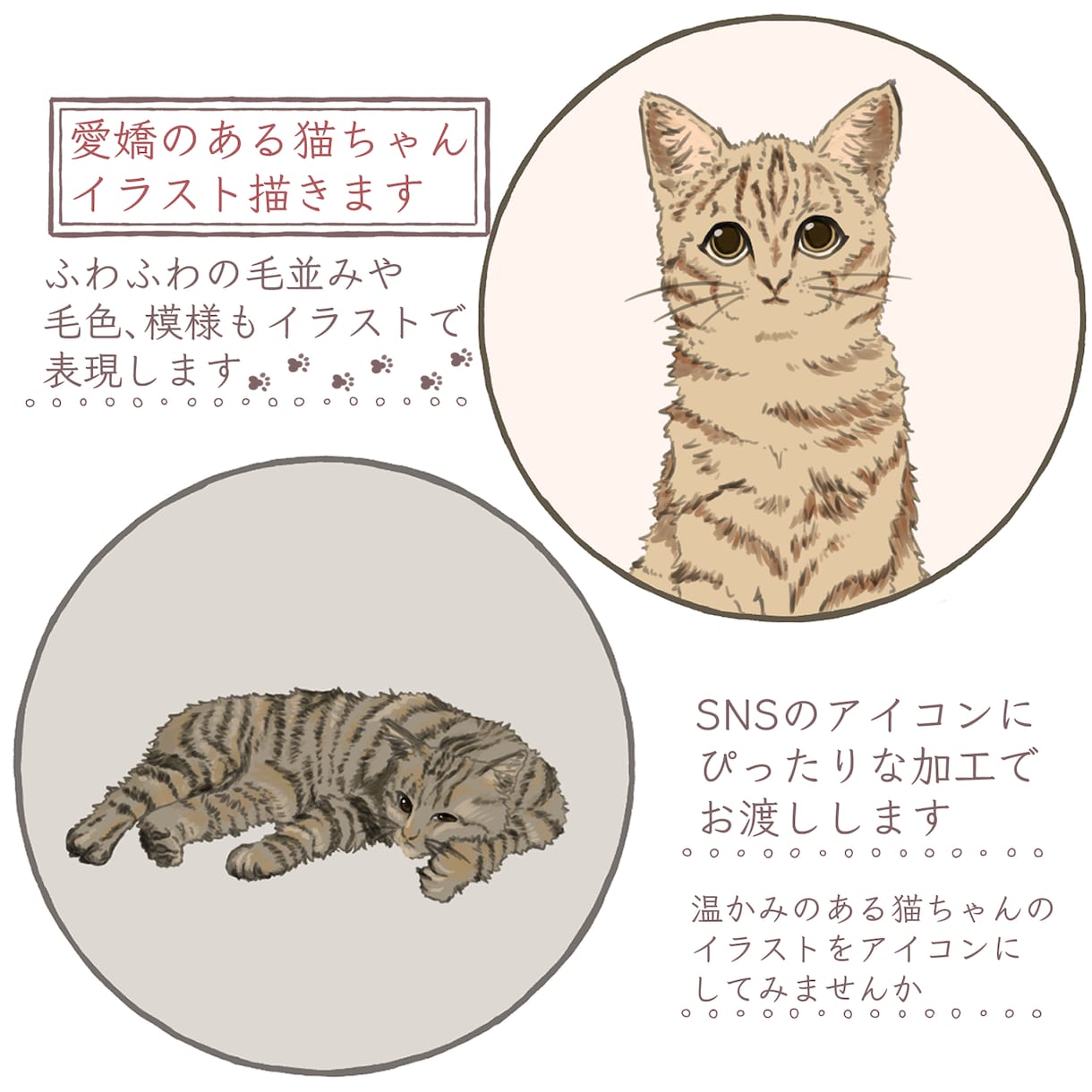 愛嬌のある猫ちゃんのイラストを描きます 可愛い表情で思わず微笑んでしまうふわふわ猫ちゃんイラスト イメージ2
