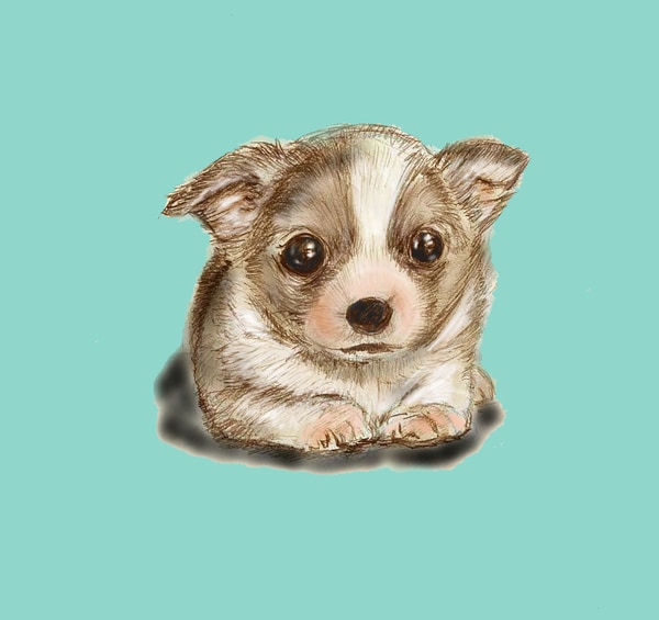 ほのぼのしたイラストを提供します ロゴからイラストちょっと違うセンスはいかがでしょうか？ イメージ7