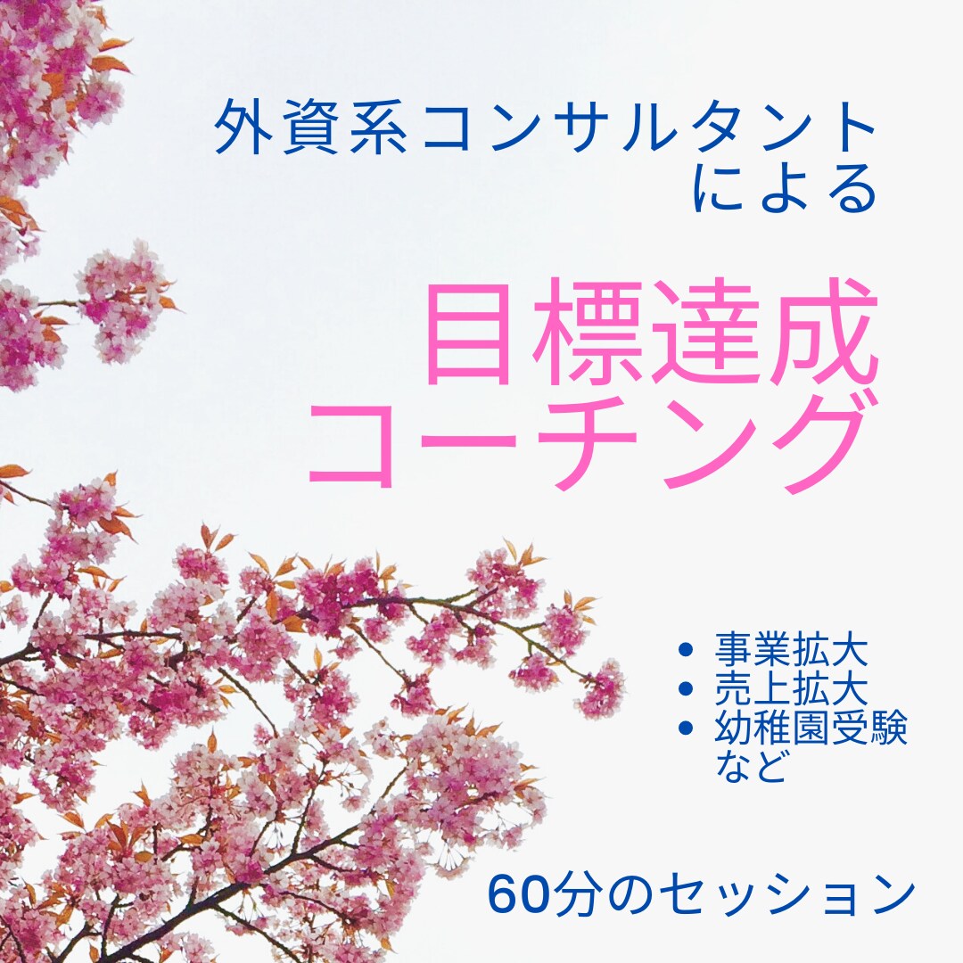 目標達成のお手伝いをします 事業拡大、売上拡大、幼稚園受験、ダイエット…など何でもOK イメージ1