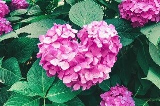 恋活、婚活で行き詰まっているお悩みお聞きします 婚活、恋愛相談なんでもご相談くださいませ！解決へと導きます イメージ5