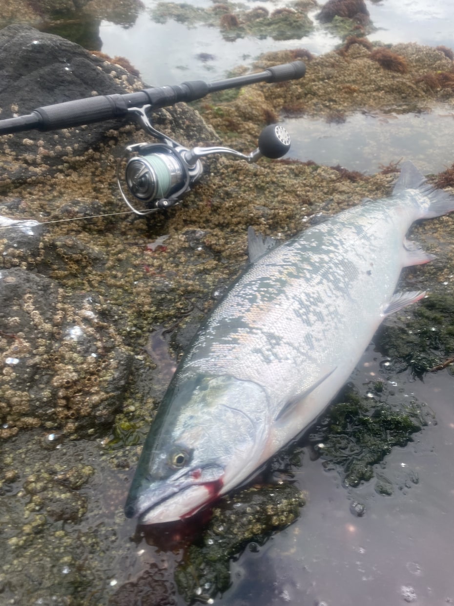 海サクラマスの釣り方教えます 北海道で海サクラマスを釣ってみたい方にお教えします！ イメージ2