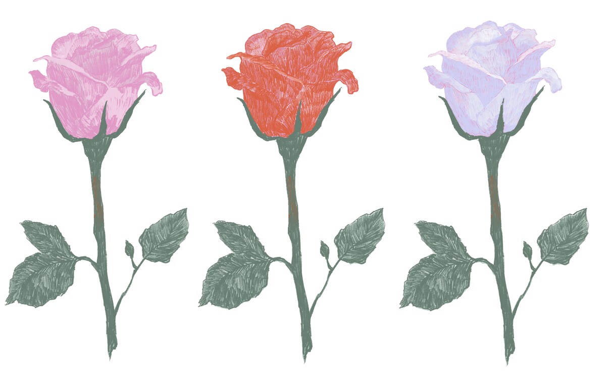植物や食べ物、小道具のかわいいイラストを描きます アイコン・挿絵など用途に合わせたオリジナルイラスト イメージ1