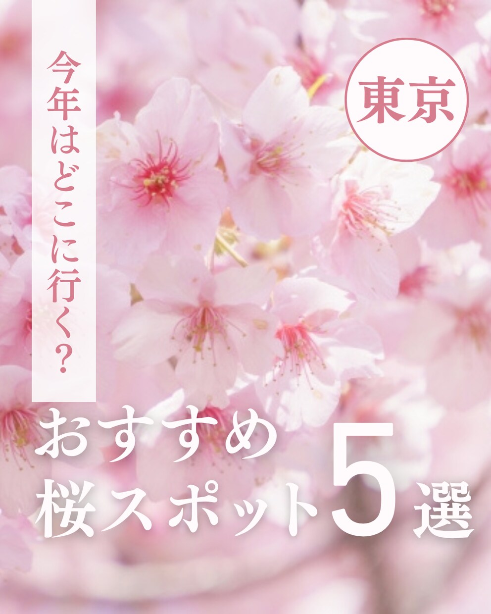 インスタグラムのデザインテンプレを作成します \その投稿、なんとなくで作っていませんか？ / イメージ6