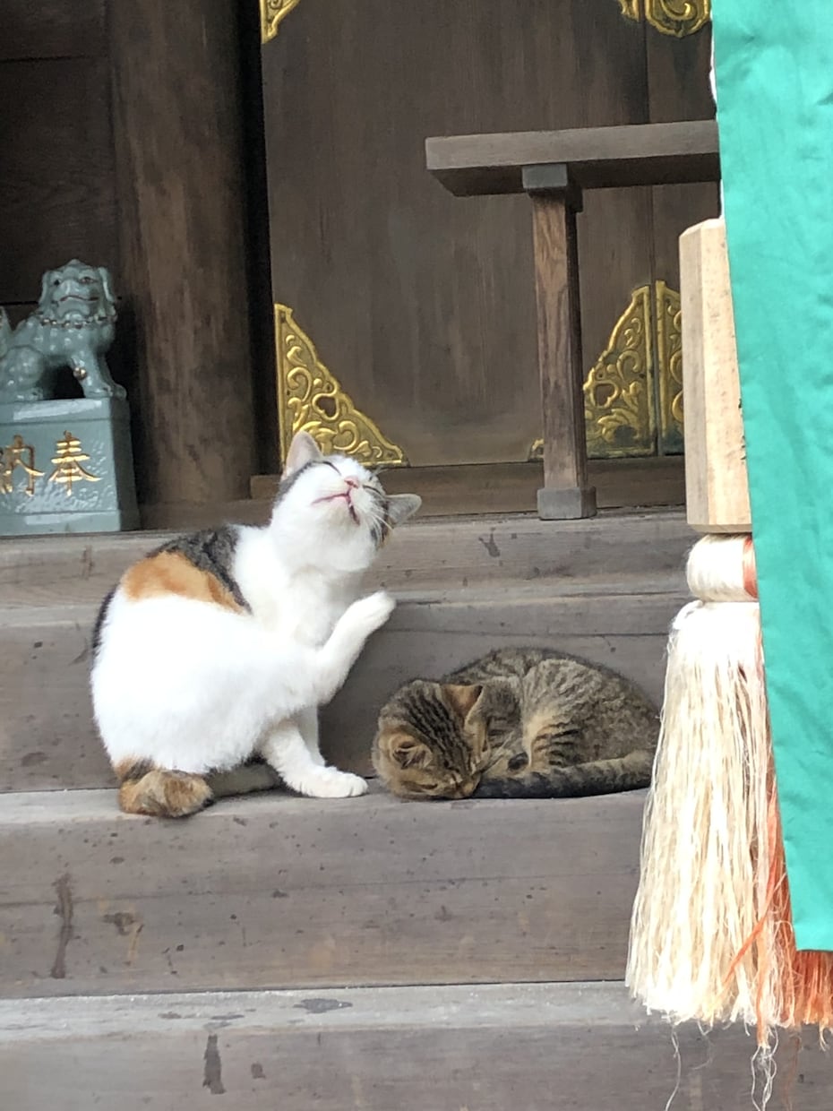 取り急ぎご先祖さまの供養します 生きている方たちのまごころをカタチに イメージ1