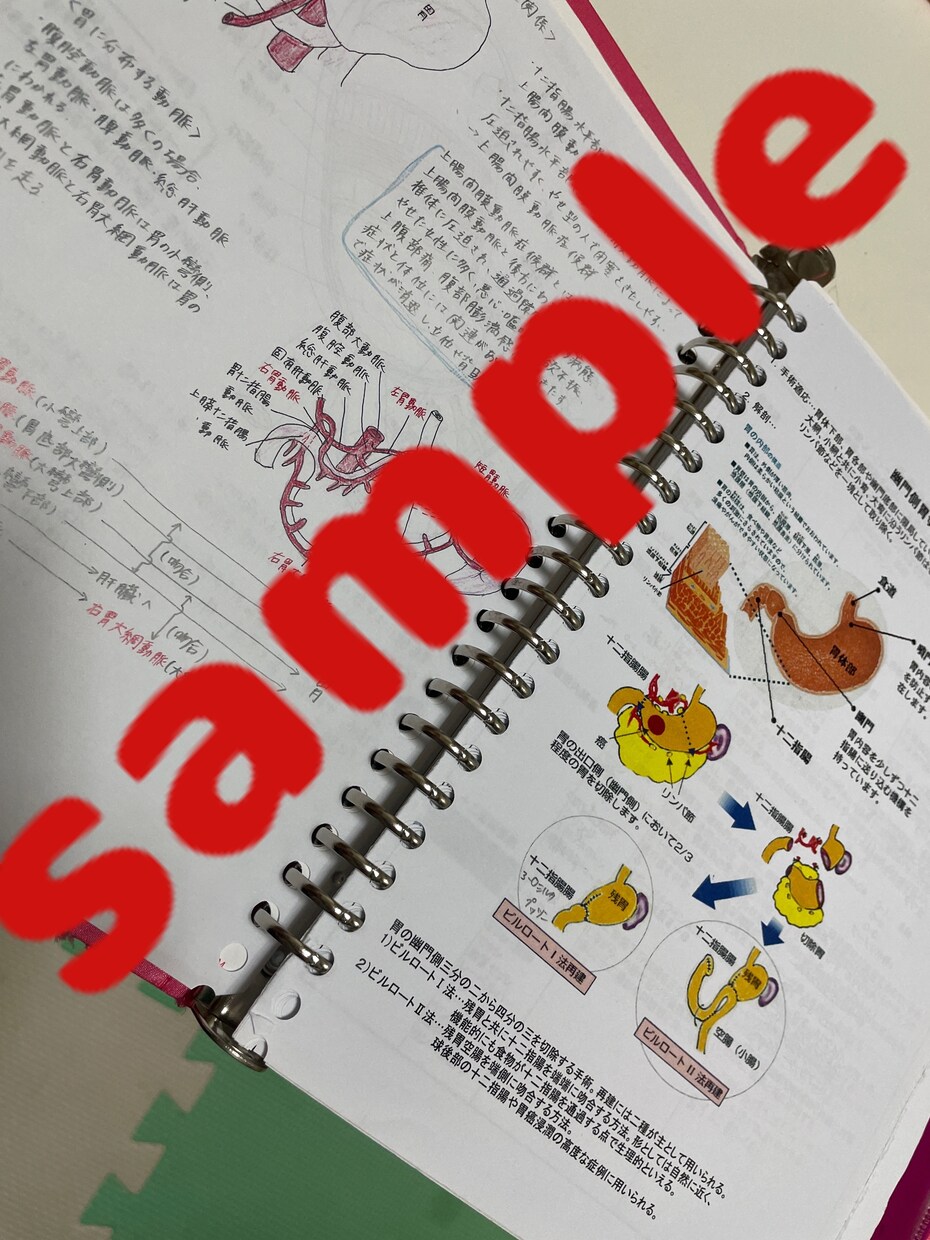 消化器外科手術手順書お渡しします 自己学習サポート！外科手術の理科深まる！ イメージ3
