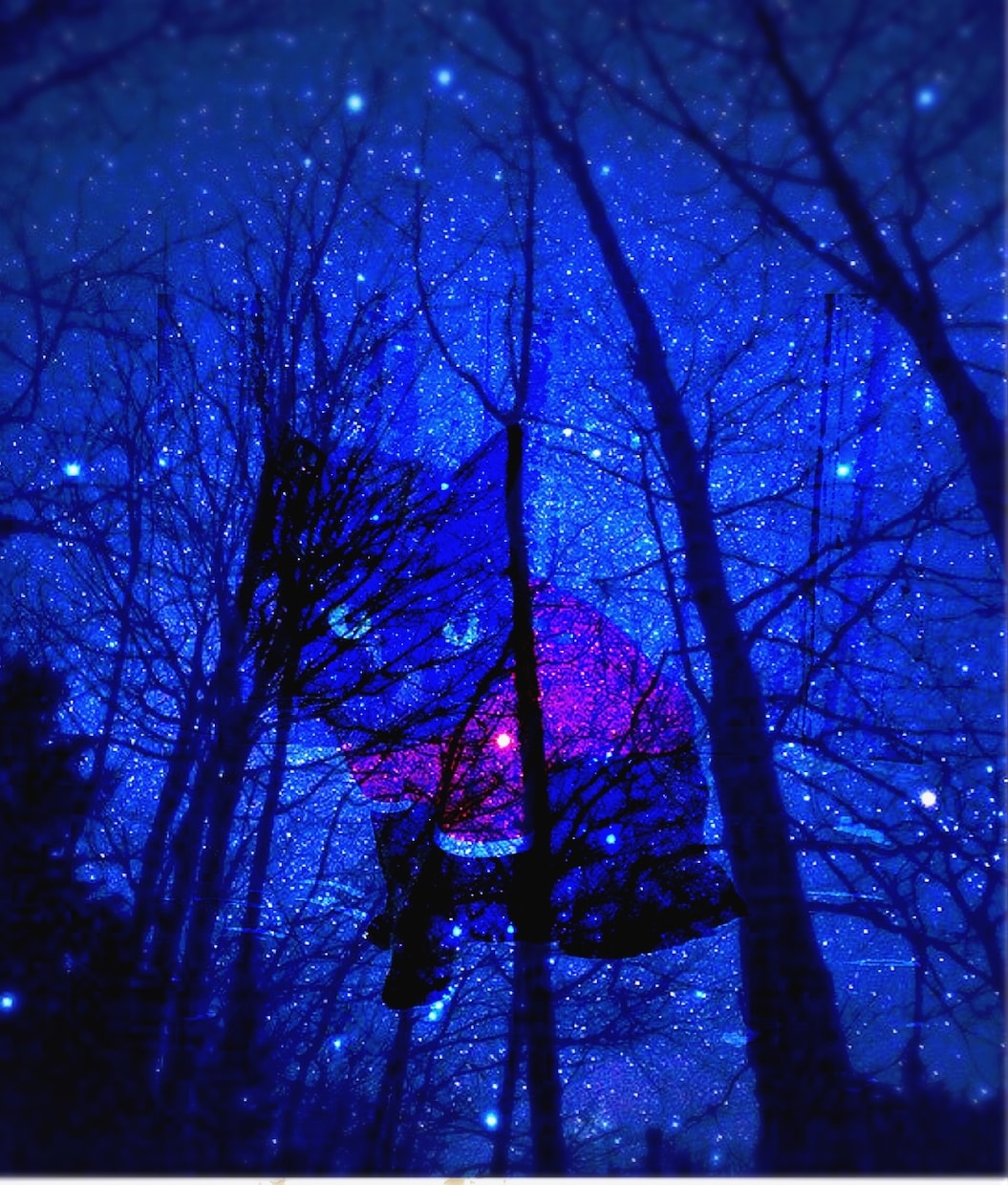 写真を使いインスタグラム等に活用出来る作品にします 自分の写真を使ってお洒落な作品を作りたい方へ！ イメージ2