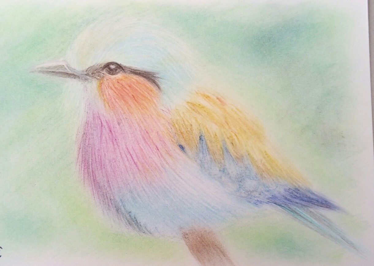 ペットなど、動物のイラスト描きます パステルと色鉛筆でふんわり優しい雰囲気の手描きイラスト イメージ3