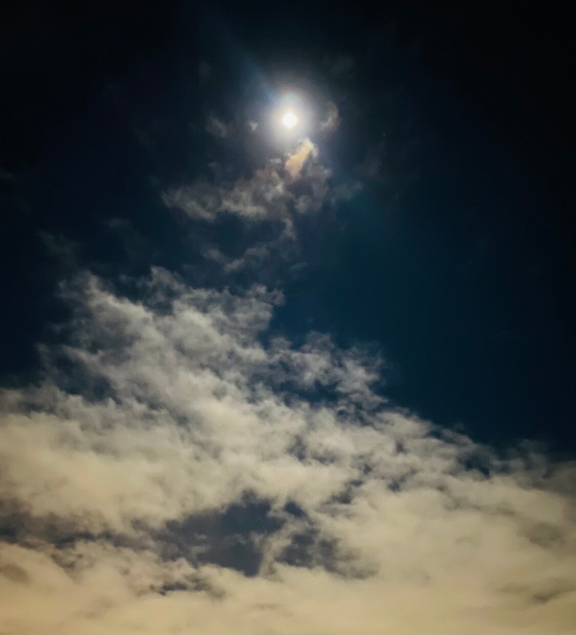 現状解決へ導く☆今のあなたに必要な答えを導きます ✨丁寧に寄り添い、全力鑑定✨お気軽にご相談下さい✨ イメージ2