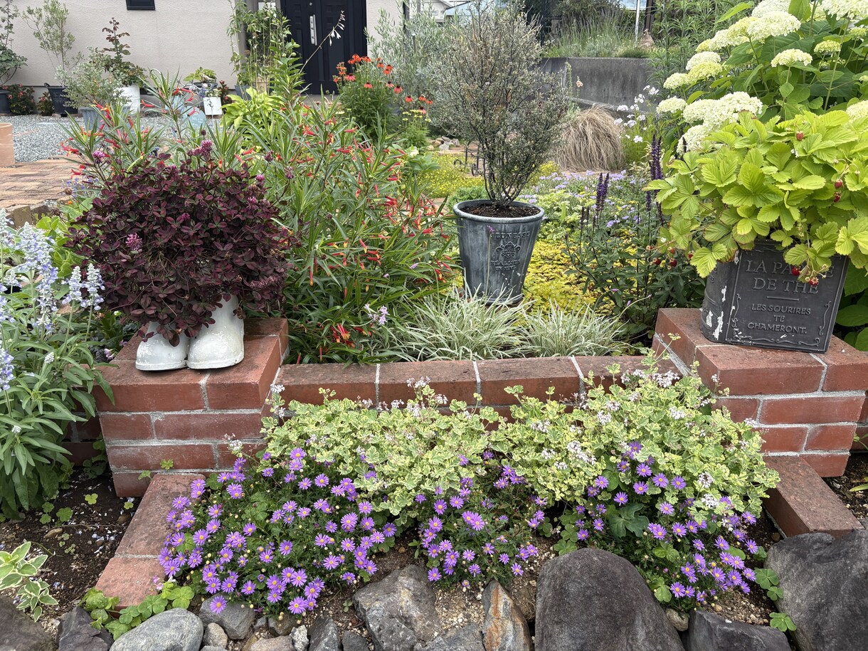 観葉植物などのちょっとした不調も気軽に相談乗ります 葉の変色や水やり方をグリーンアドバイザーがやさしく解決！ イメージ3