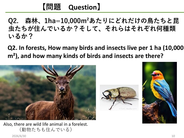 海外進出向け『英語プレゼン』の構成を請け負います 脚本構造×生物学データで世界を動かす国際プレゼンプロデュース イメージ1