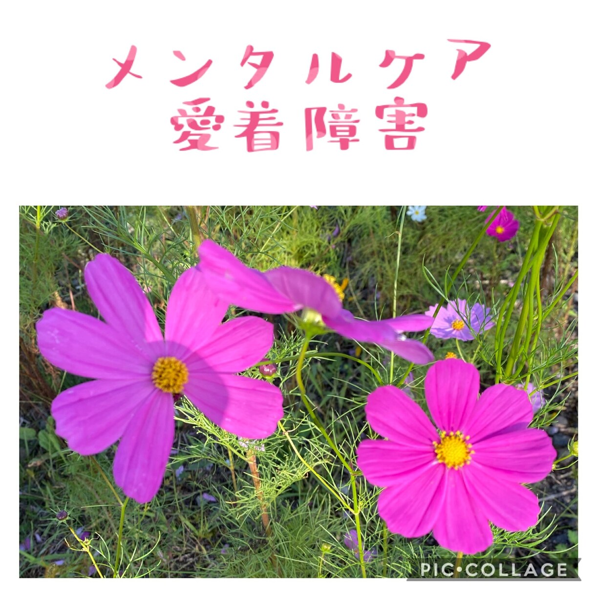 パートナーとのお悩みにアドバイスできます パートナー間の問題、関係修復、愚痴や相談などお待ちしています イメージ3
