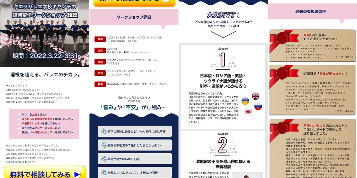 LPデザインします 売れるページデザイン◎反応率UP! イメージ9