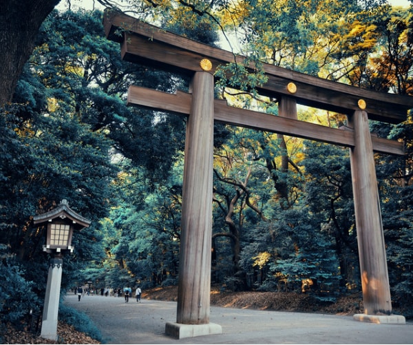 巫女⛩があの人の『裏本音⚠️』秘めた想いを伝えます ☯本当は何考えてるの⁉️禁断の心理に潜入㊙️千里眼と巫女札 イメージ5