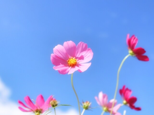 あなたの気持ちにそっと寄り添います 心のモヤモヤゆっくりお話しませんか？ イメージ9
