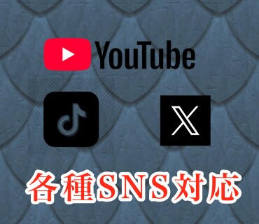 TikTok登録者＋1,000人増やします ✨最速・最短✨登録者＋1000人増えるまで拡大します イメージ3