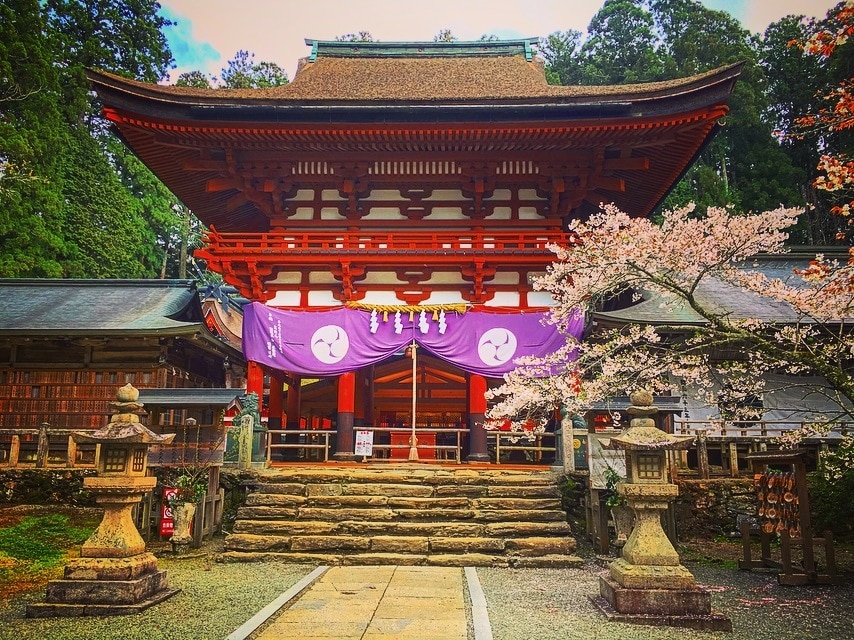 縁のある神社、場所をお伝えします パワースポットへ行きたいけれど迷ってしまってる方 イメージ1