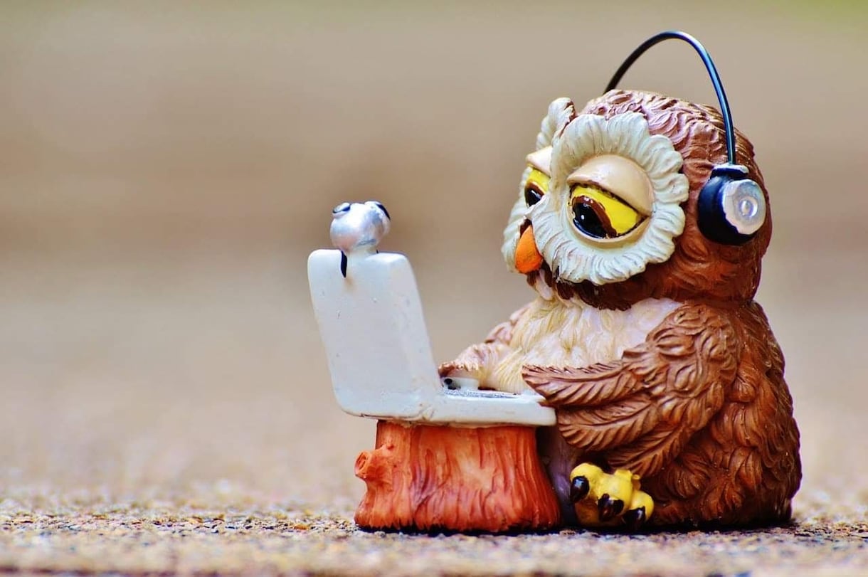 IT初心者向け、伴走サポート相談に乗ります Linuxからプログラミングまで幅広く対応 イメージ1