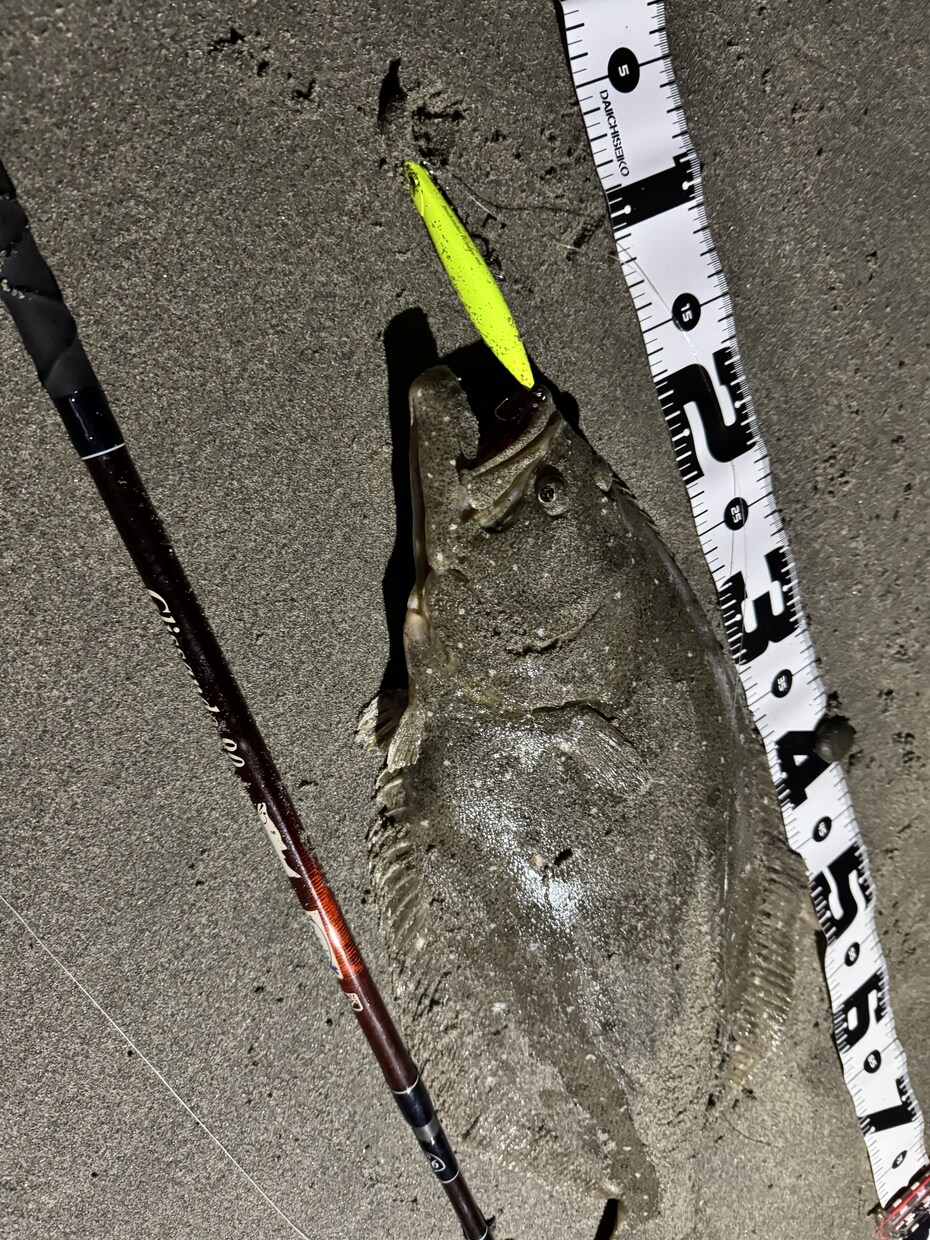 キャスト性能向上とサーフでの魚の釣り方を教えます 周りと差をつけるキャスト、よりキャッチ率を上げる考え方 イメージ1