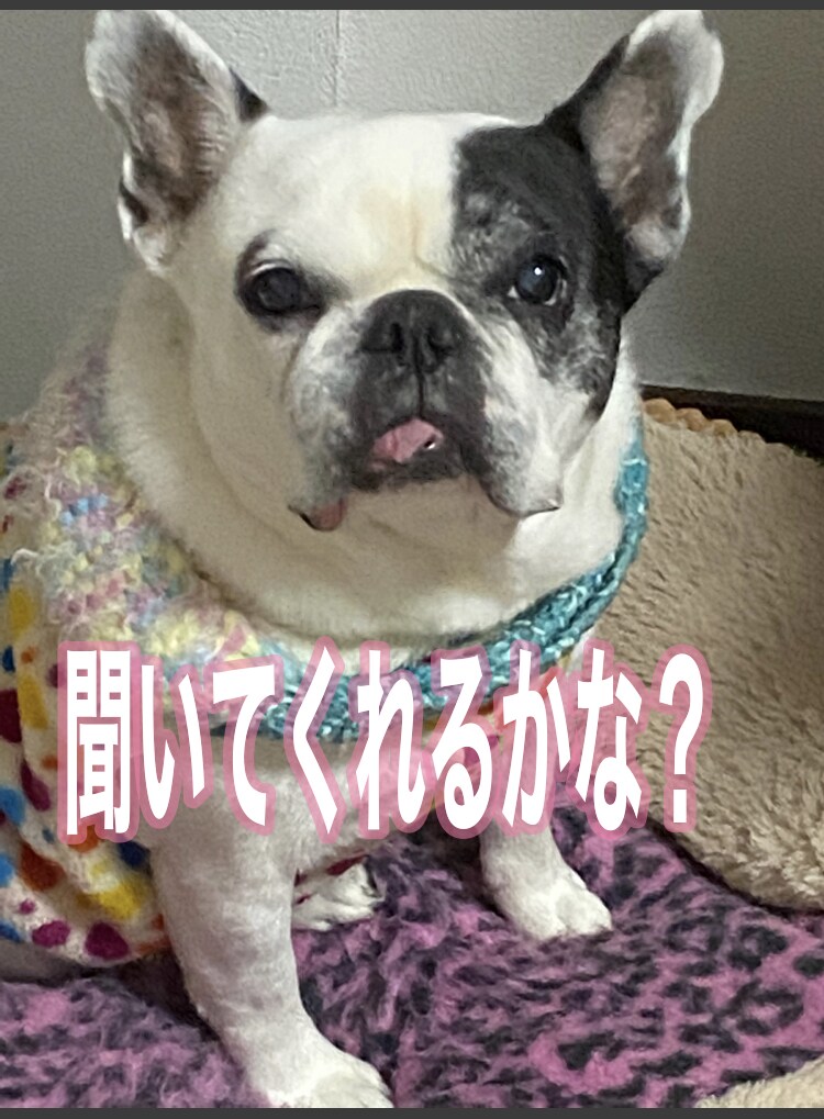 虹の橋からのペットの言葉教えます 家族だった大切なペット、虹の橋からのメッセージです！ イメージ4